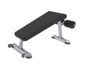 True Fitness fs-21