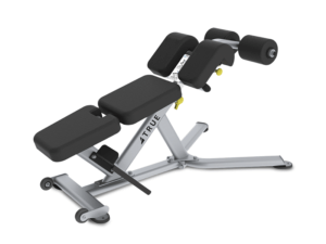 True Fitness FS-22