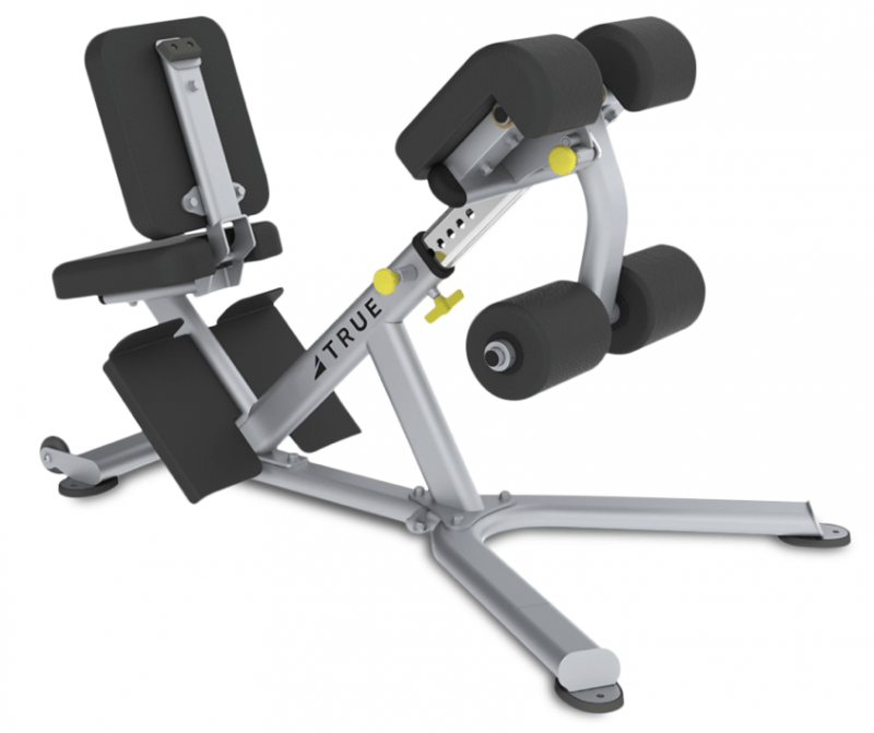 True Fitness FS-22 Low Back/Abdominal Bench