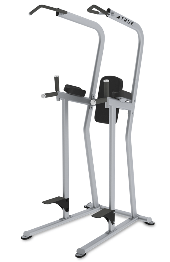 True Fitness FS-23 KNEE RAISE / DIP / CHIN STATION