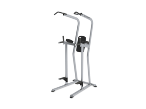 True Fitness FS-23