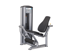 True Fitness FS-60