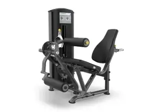 True Fitness Fitness Line Leg Extension/Seated Leg Curl