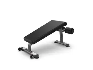 True Fitness Fitness Line Abdominal Crunch Bench