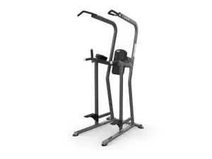 True Fitness Fitness Line Knee Raise/Dip/Chin Station