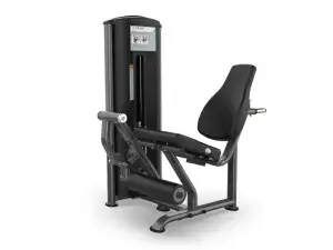 True Fitness Fitness Line Leg Extension