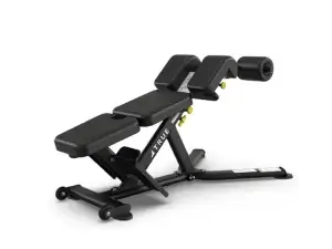 True Fitness Fitness Line Low Back/Abdominal Bench