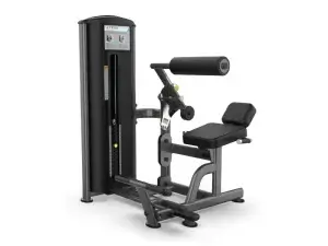 True Fitness Fitness Line Low Back/Abdominal Machine