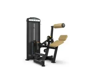 True Fitness Fuse XL Series Lower Back Extension