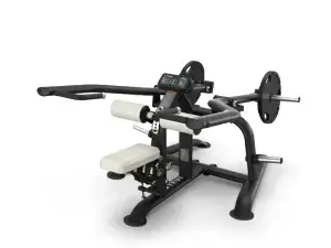 True Fitness Palladium Series Plate Loaded Triceps Extension
