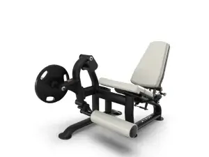 True Fitness Palladium Series Plate Loaded Leg Extension