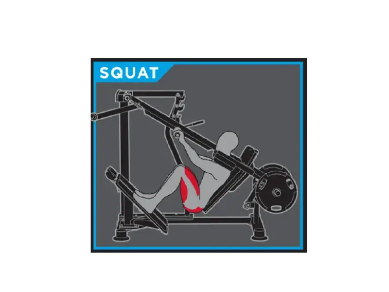 TF Palladium Plate Loaded Series 1400 Squat