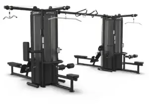 True Fitness Palladium Series Dual Modular Frame with Cable Crossover