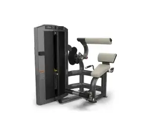 True Fitness Palladium Series Low Back Extension