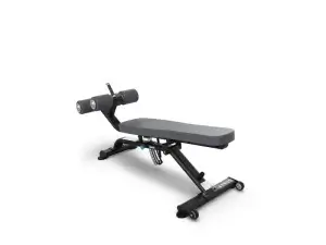 True Fitness XFW Series Abdominal Decline Bench