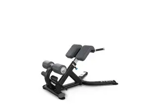True Fitness XFW Series Roman Bench