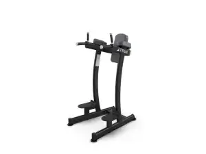 True Fitness XFW Series Vertical Knee Raise/Dip